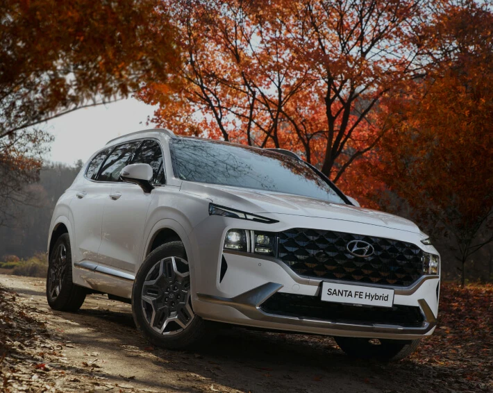 Hyundai Service